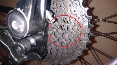 pinin2.JPG