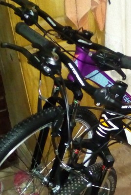 _20181203_115723.JPG