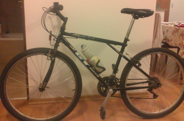 Mi bici