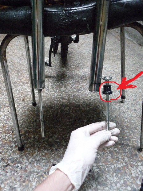 cosito rst.jpg