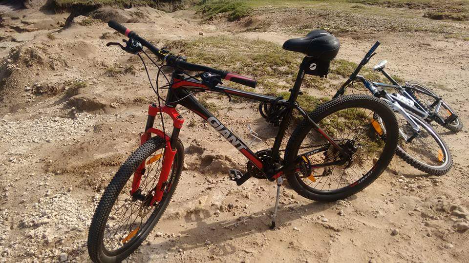 Mi bici Giant Revel 1 en ruta 11