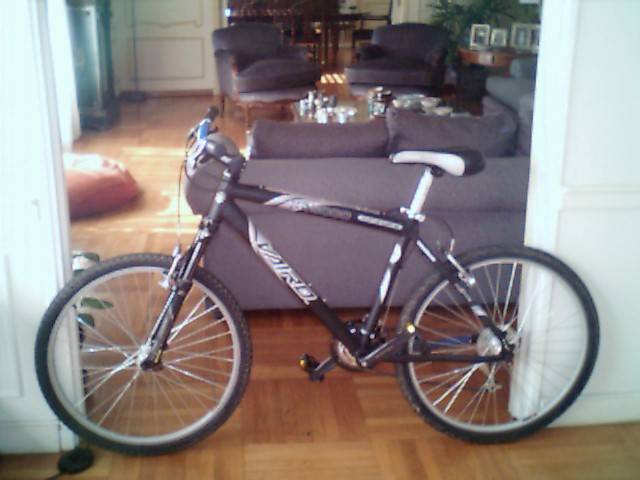 Mi bici