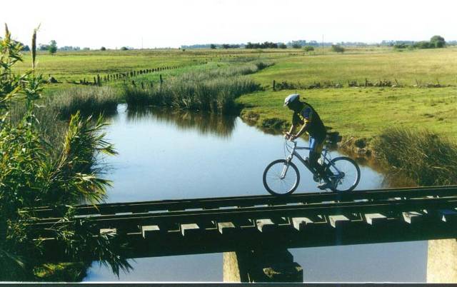 PUENTE VILLA RUIZ