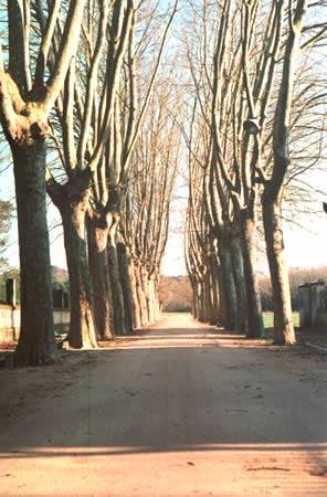 Inauguraci&oacute;n de nuevas rutas en CALDES  de MALAVELLA