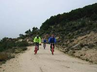 ¿que os parece mi bici?