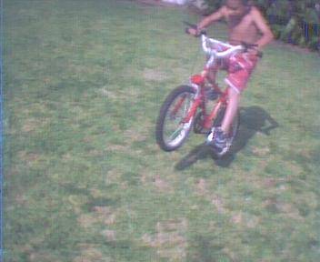 WILLY