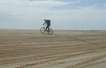 lineas de pinamar