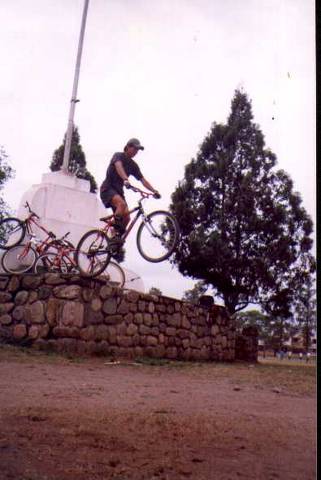 yo y mi vairo