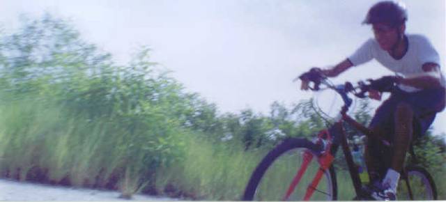 Descendiendo