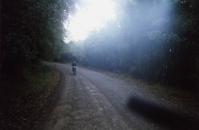 te invito a una de las rutas del sur de CHILE (IX Región)