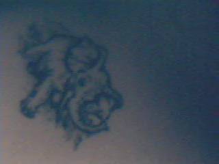 Lucho