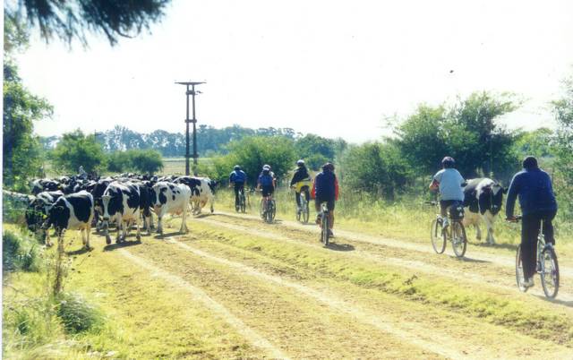 Cicloturismo Recreativo - Pilar - Lujan - Open Door - Manzanres
