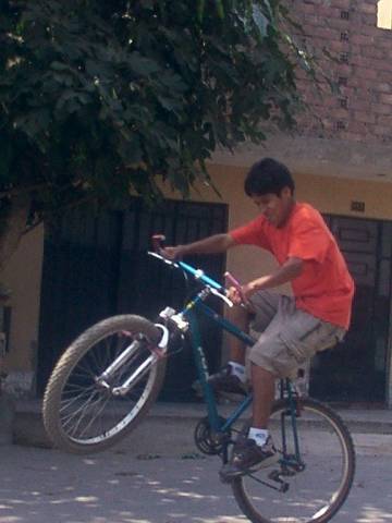 la  harmo por partes