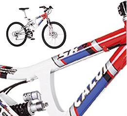 Mi bici