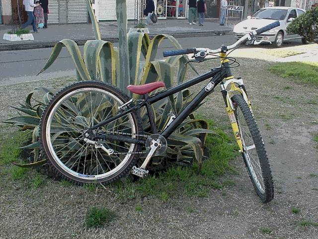 the best bike for trial