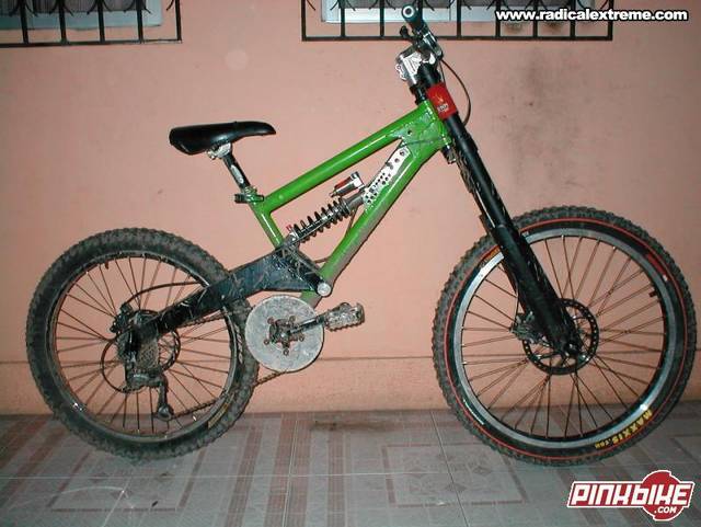 Mi fosil