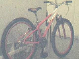Schwinn Moab 13"