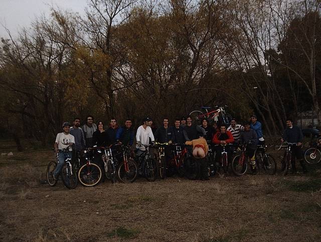 team dh/freeride