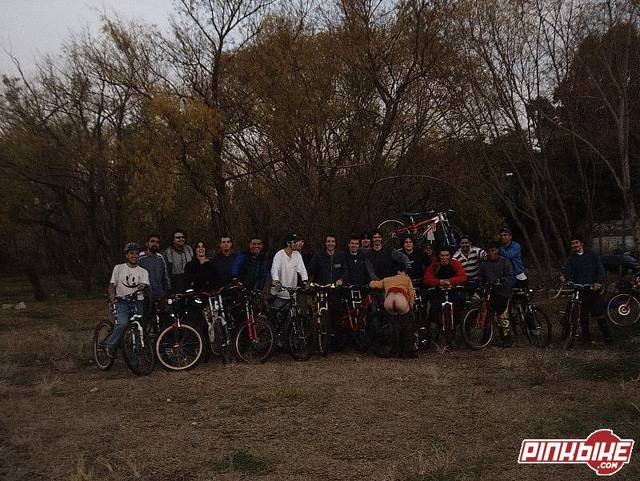 team dh freeride