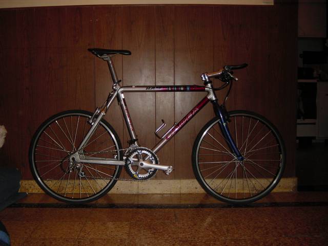 cadex alm1