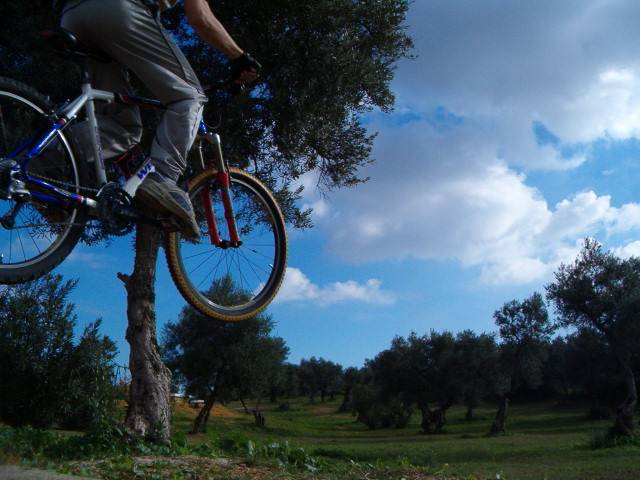 el salto