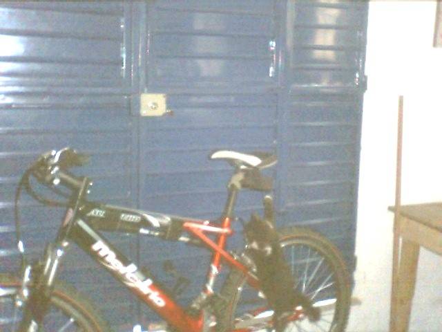 BIKEHOST2