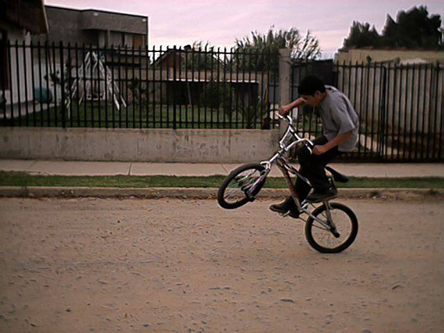 caballito en mi freestyle.