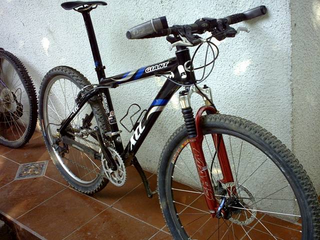 PATOIDE