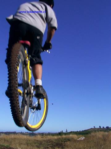 salto