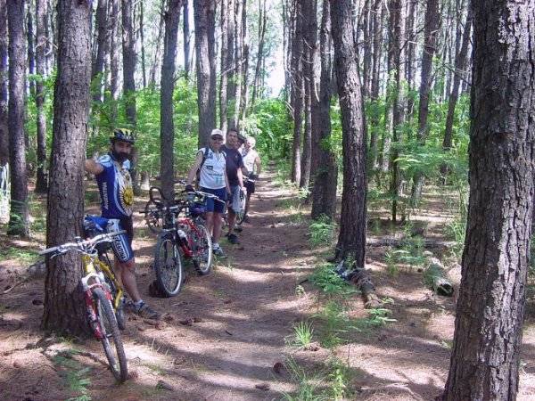 BOSQUE