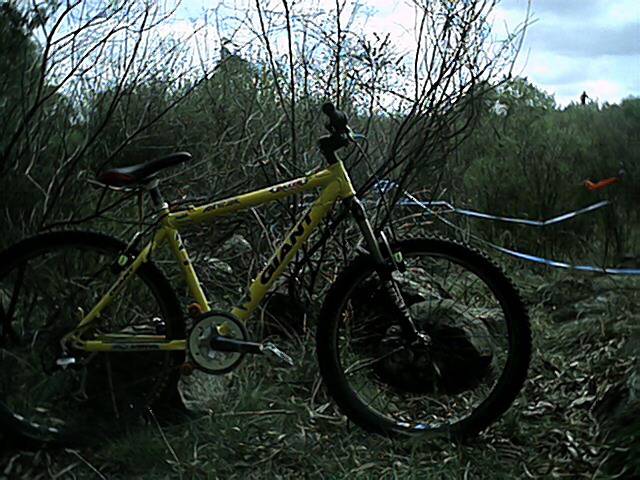 giant