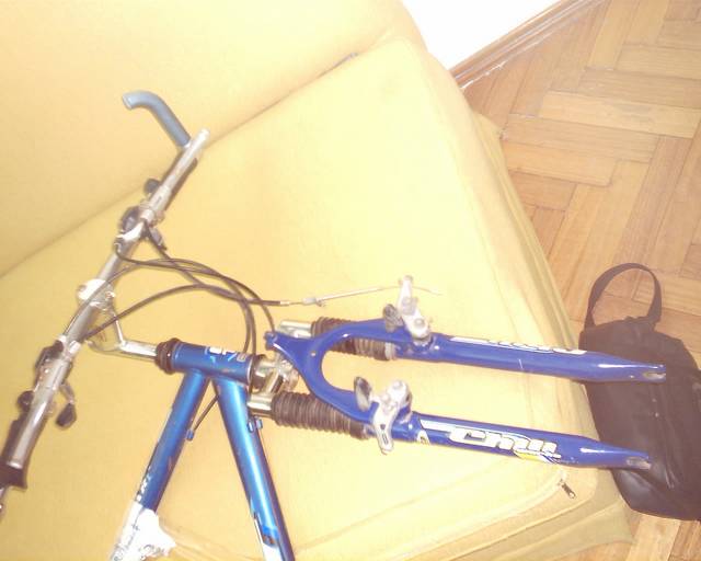 diego1_ar