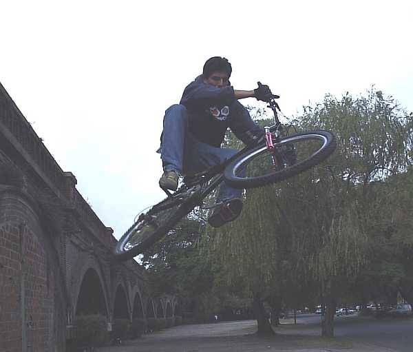 Carpincho volador