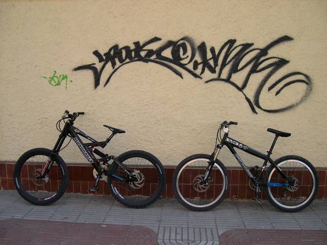 MIS ANIMALES