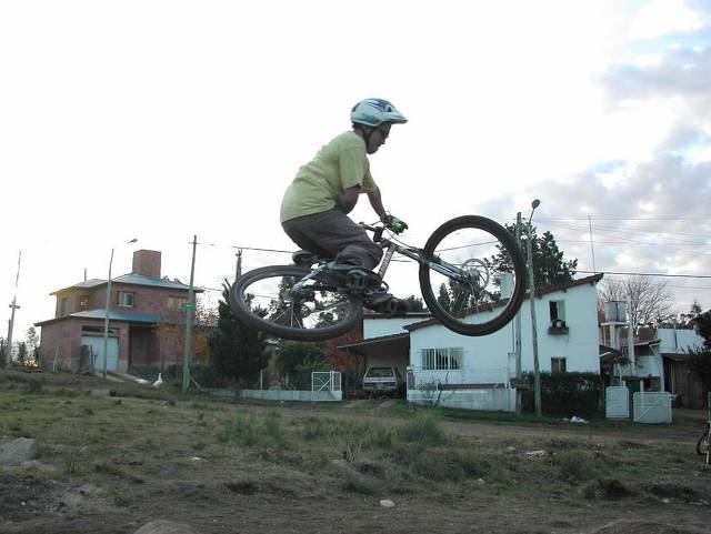 sin titulo