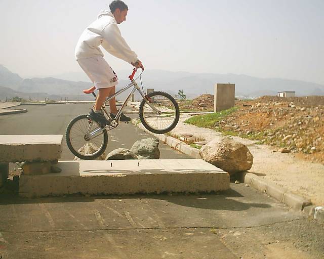 salto bestia