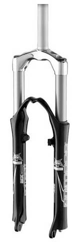 albertit107