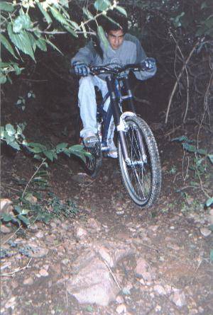 salta dh