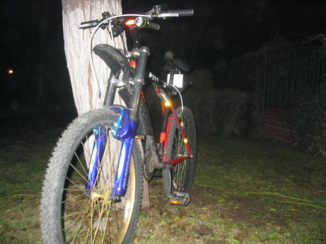 mi chancha