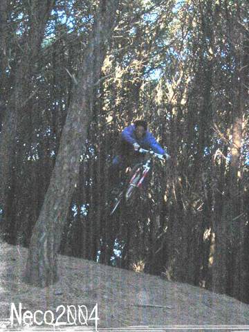 neco2004