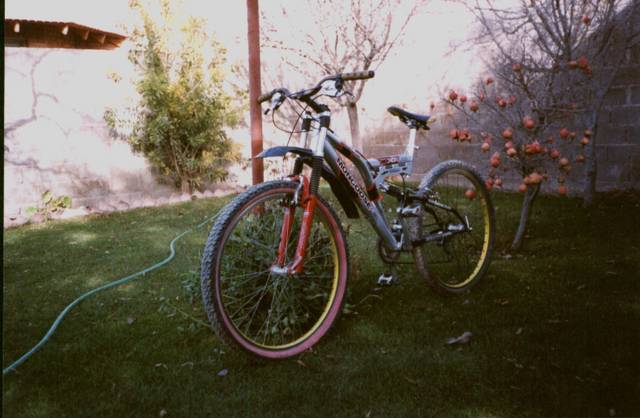 UNA VERDADERA MAQUINA LA MONGOOSE D-XR AL