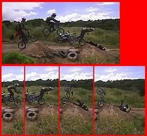 fedebmx