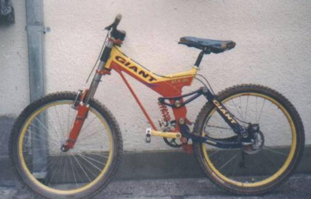MI BICI QUE LES PARECE