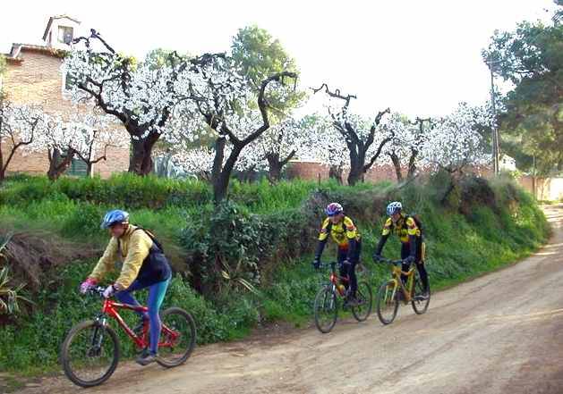 Garrafa en Almendros