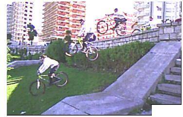oli y agarrate