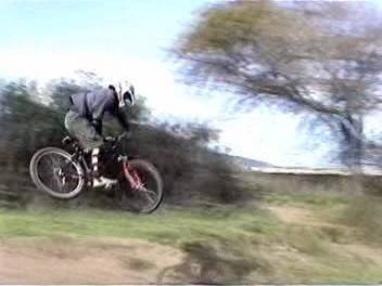 cruz bike