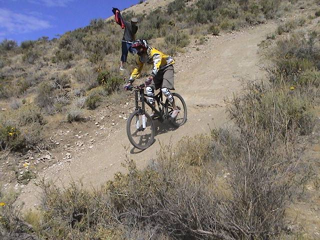 DH Patagonico