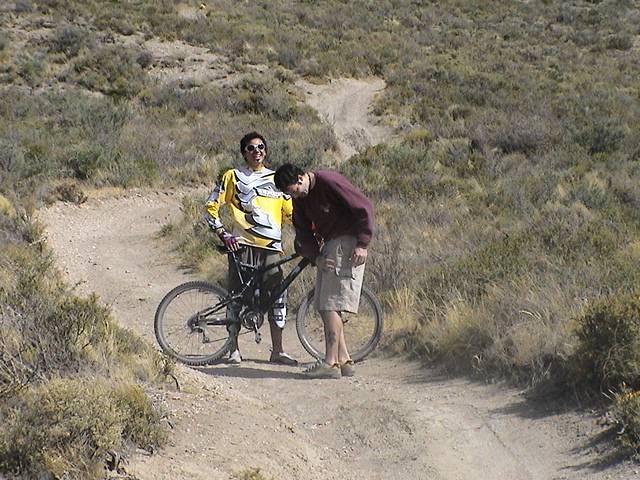 DH Patagonico