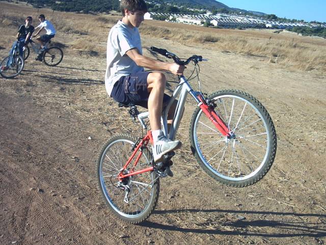 xarli