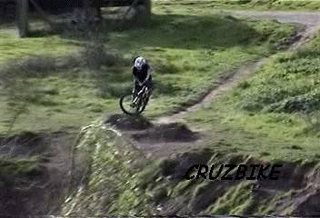 cruz bike